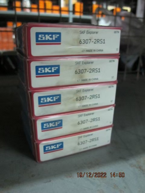 SKF Photo 102